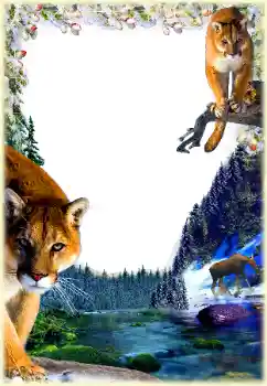 Efekt zdjęciowy z kategorii Różne № 112361