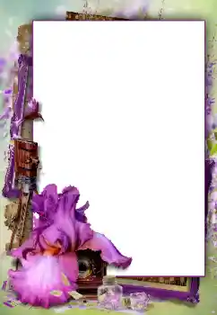 Efekt zdjęciowy z kategorii Różne № 112460