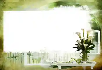 Efekt zdjęciowy z kategorii Różne № 112461