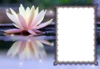 Efekt zdjęciowy z kategorii Różne № 112532