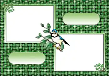 Efekt zdjęciowy z kategorii Różne № 112641 Efekt zdjęciowy z kategorii Różne № 112641