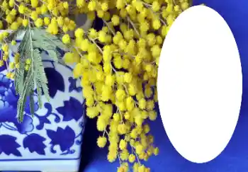 Efekt zdjęciowy z kategorii Różne № 112719