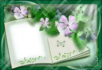 Efekt zdjęciowy z kategorii Różne № 112842