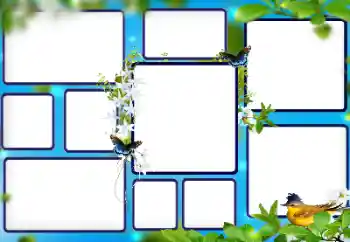 Efekt zdjęciowy z kategorii Różne № 112853