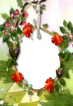 Efekt zdjęciowy z kategorii Różne № 113118