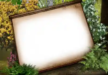 Efekt zdjęciowy z kategorii Różne № 113134