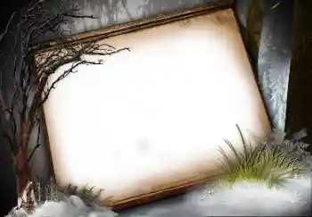 Efekt zdjęciowy z kategorii Różne № 113136