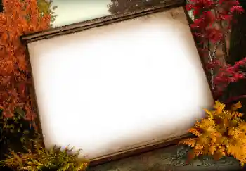 Efekt zdjęciowy z kategorii Różne № 113138