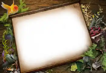 Efekt zdjęciowy z kategorii Różne № 113139