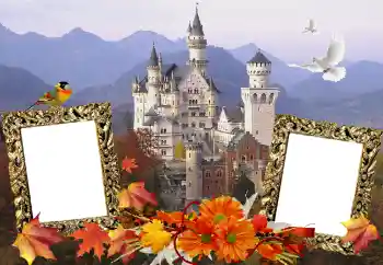 Efekt zdjęciowy z kategorii Różne № 114211