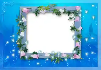 Efekt zdjęciowy z kategorii Różne № 114212