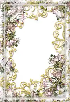 Efekt zdjęciowy z kategorii Różne № 114216