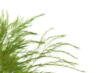 Efekt zdjęciowy z kategorii Różne № 114378