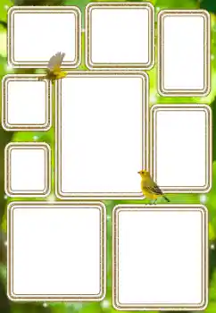 Efekt zdjęciowy z kategorii Różne № 114577