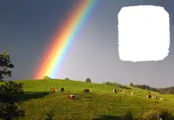 Efekt zdjęciowy z kategorii Różne № 114599