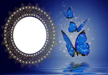 Efekt zdjęciowy z kategorii Różne № 114746