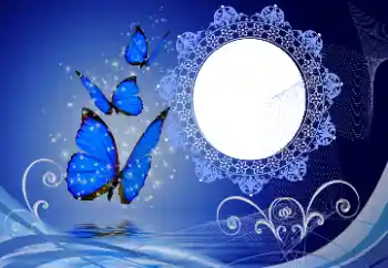 Efekt zdjęciowy z kategorii Różne № 114747