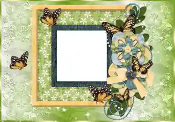 Efekt zdjęciowy z kategorii Różne № 114753