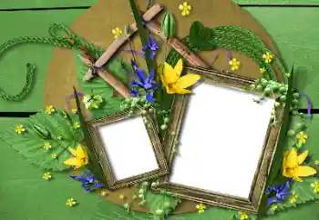 Efekt zdjęciowy z kategorii Różne № 115748