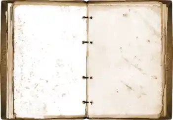 Efekt zdjęciowy z kategorii Różne № 115773