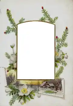 Efekt zdjęciowy z kategorii Różne № 115833 Efekt zdjęciowy z kategorii Różne № 115833