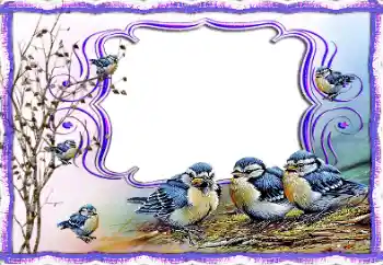 Efekt zdjęciowy z kategorii Różne № 115877 Efekt zdjęciowy z kategorii Różne № 115877