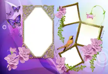 Efekt zdjęciowy z kategorii Różne № 115891 Efekt zdjęciowy z kategorii Różne № 115891