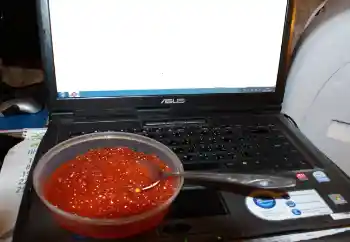 Efekt zdjęciowy z kategorii Różne № 115910 Efekt zdjęciowy z kategorii Różne № 115910