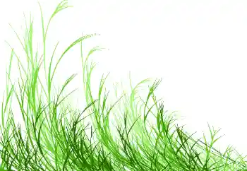 Efekt zdjęciowy z kategorii Różne № 115932 Efekt zdjęciowy z kategorii Różne № 115932