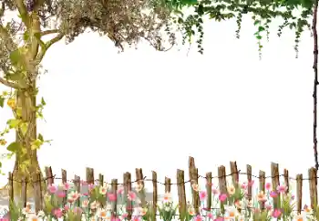 Efekt zdjęciowy z kategorii Różne № 115954 Efekt zdjęciowy z kategorii Różne № 115954