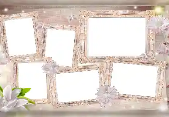 Efekt zdjęciowy z kategorii Różne № 115976 Efekt zdjęciowy z kategorii Różne № 115976