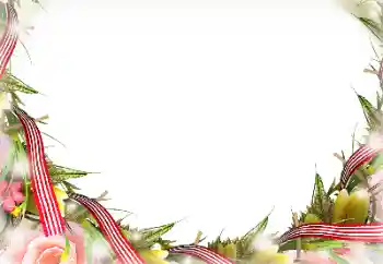 Efekt zdjęciowy z kategorii Różne № 116196