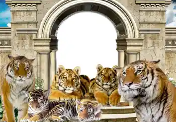 Efekt zdjęciowy z kategorii Różne № 116203 Efekt zdjęciowy z kategorii Różne № 116203