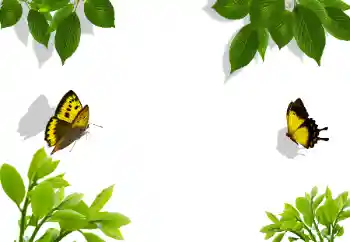 Efekt zdjęciowy z kategorii Różne № 117282 Efekt zdjęciowy z kategorii Różne № 117282