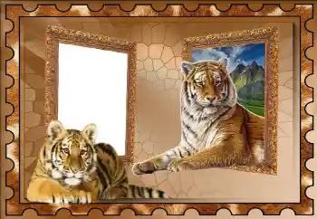 Efekt zdjęciowy z kategorii Różne № 117310 Efekt zdjęciowy z kategorii Różne № 117310