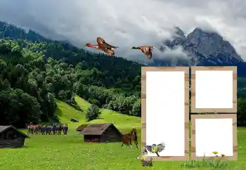 Efekt zdjęciowy z kategorii Różne № 118908 Efekt zdjęciowy z kategorii Różne № 118908