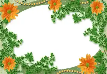 Efekt zdjęciowy z kategorii Różne № 118929 Efekt zdjęciowy z kategorii Różne № 118929