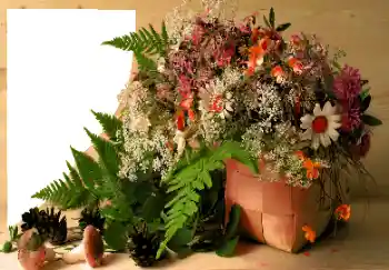 Efekt zdjęciowy z kategorii Różne № 120020 Efekt zdjęciowy z kategorii Różne № 120020