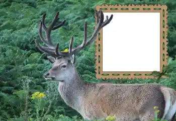 Efekt zdjęciowy z kategorii Różne № 121049 Efekt zdjęciowy z kategorii Różne № 121049