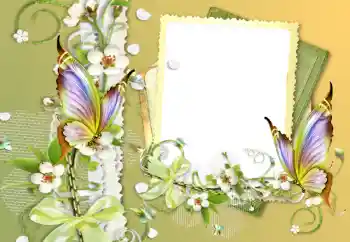 Efekt zdjęciowy z kategorii Różne № 121056 Efekt zdjęciowy z kategorii Różne № 121056