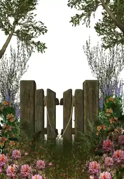 Efekt zdjęciowy z kategorii Różne № 123212 Efekt zdjęciowy z kategorii Różne № 123212