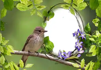 Efekt zdjęciowy z kategorii Różne № 123219 Efekt zdjęciowy z kategorii Różne № 123219