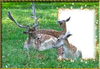 Efekt zdjęciowy z kategorii Różne № 123221 Efekt zdjęciowy z kategorii Różne № 123221