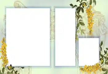 Efekt zdjęciowy z kategorii Różne № 123242 Efekt zdjęciowy z kategorii Różne № 123242