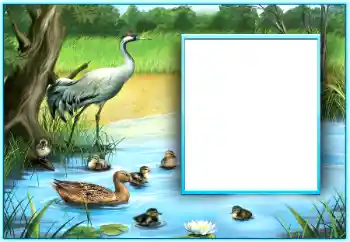 Efekt zdjęciowy z kategorii Różne № 124254 Efekt zdjęciowy z kategorii Różne № 124254