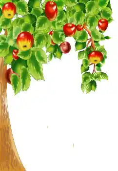 Efekt zdjęciowy z kategorii Różne № 124400 Efekt zdjęciowy z kategorii Różne № 124400