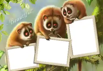 Efekt zdjęciowy z kategorii Różne № 124434 Efekt zdjęciowy z kategorii Różne № 124434