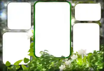 Efekt zdjęciowy z kategorii Różne № 125911 Efekt zdjęciowy z kategorii Różne № 125911