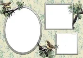 Efekt zdjęciowy z kategorii Różne № 127132 Efekt zdjęciowy z kategorii Różne № 127132