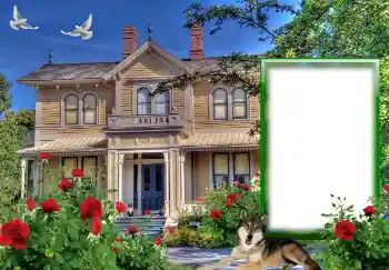 Efekt zdjęciowy z kategorii Różne № 127146 Efekt zdjęciowy z kategorii Różne № 127146